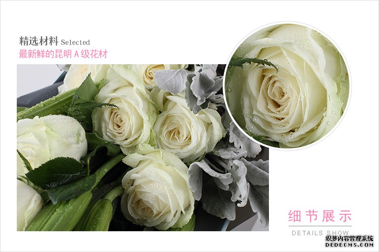 蔡司E24镜头——无码做爰xxxⅹooo视频，开启摄影新纪元，捕捉生活每一刻细腻之美