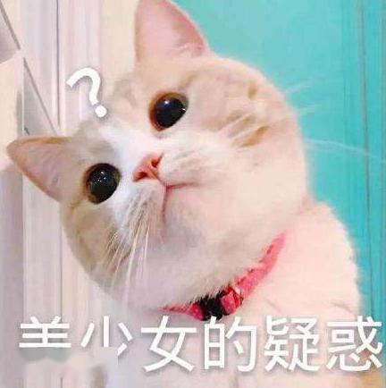 自制长焦镜头人妻无码一区二区三区四区，探索摄影新维度，挑战光学技术巅峰